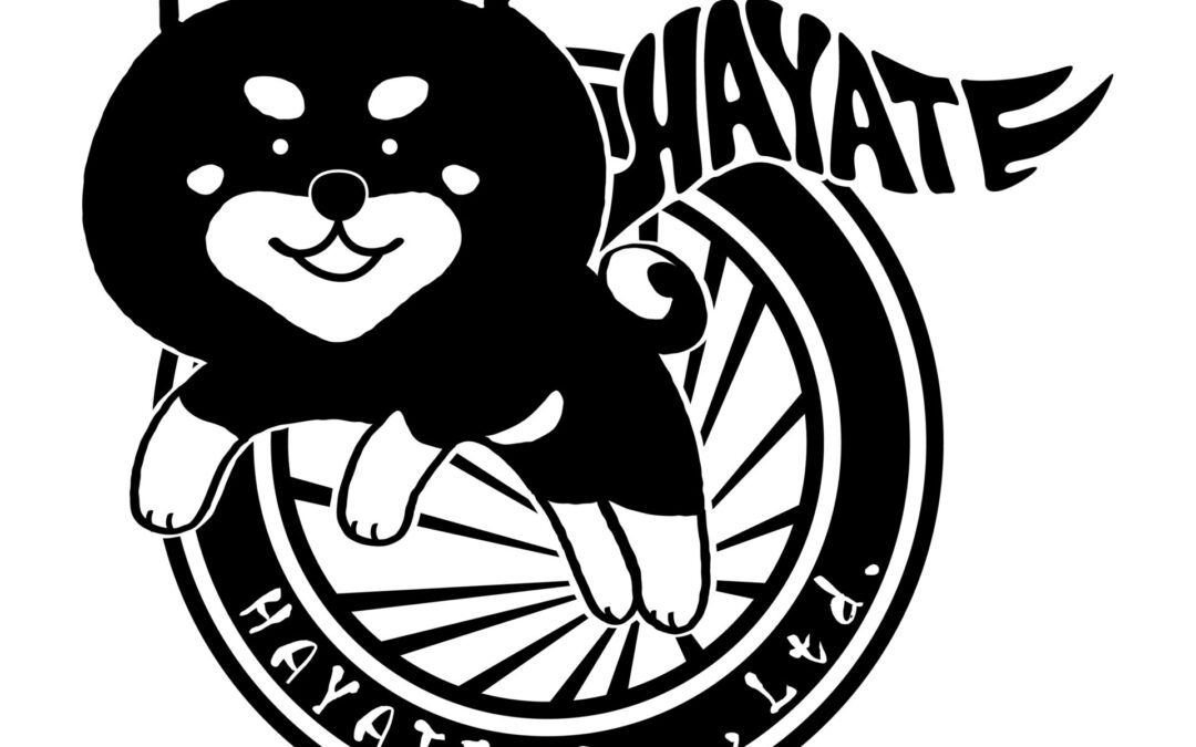 webサイトを公開しました